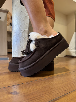 Sabot Colors of California Art. Shearpla05 col. cioccolato 